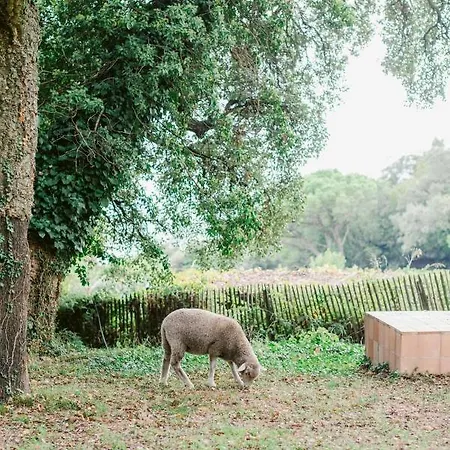 Dom wakacyjny Relais Du Vieux Sauvaire *