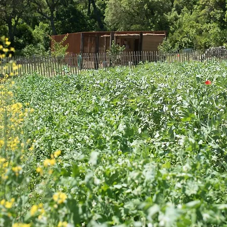 Relais Du Vieux Sauvaire Dom wakacyjny *