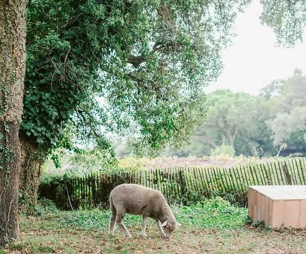 Будинок відпочинку Relais Du Vieux Sauvaire *