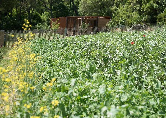 Relais Du Vieux Sauvaire Будинок відпочинку *