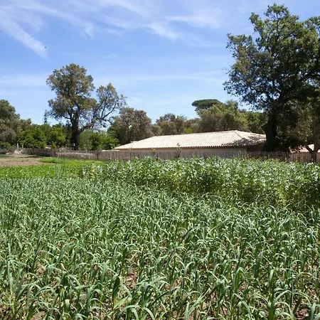 Vakantiehuis Relais Du Vieux Sauvaire *