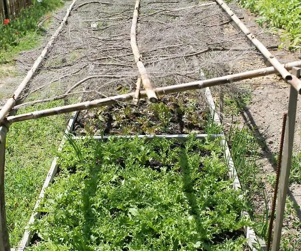 Relais Du Vieux Sauvaire